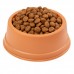 Comedouro filhote pequeno - Terracota - 300 ml