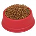 Comedouro filhote pequeno - Perolizado - Vermelho - 300 ml